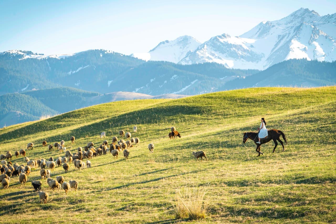 Shepherd on horseback with flock, Kazakhstan
