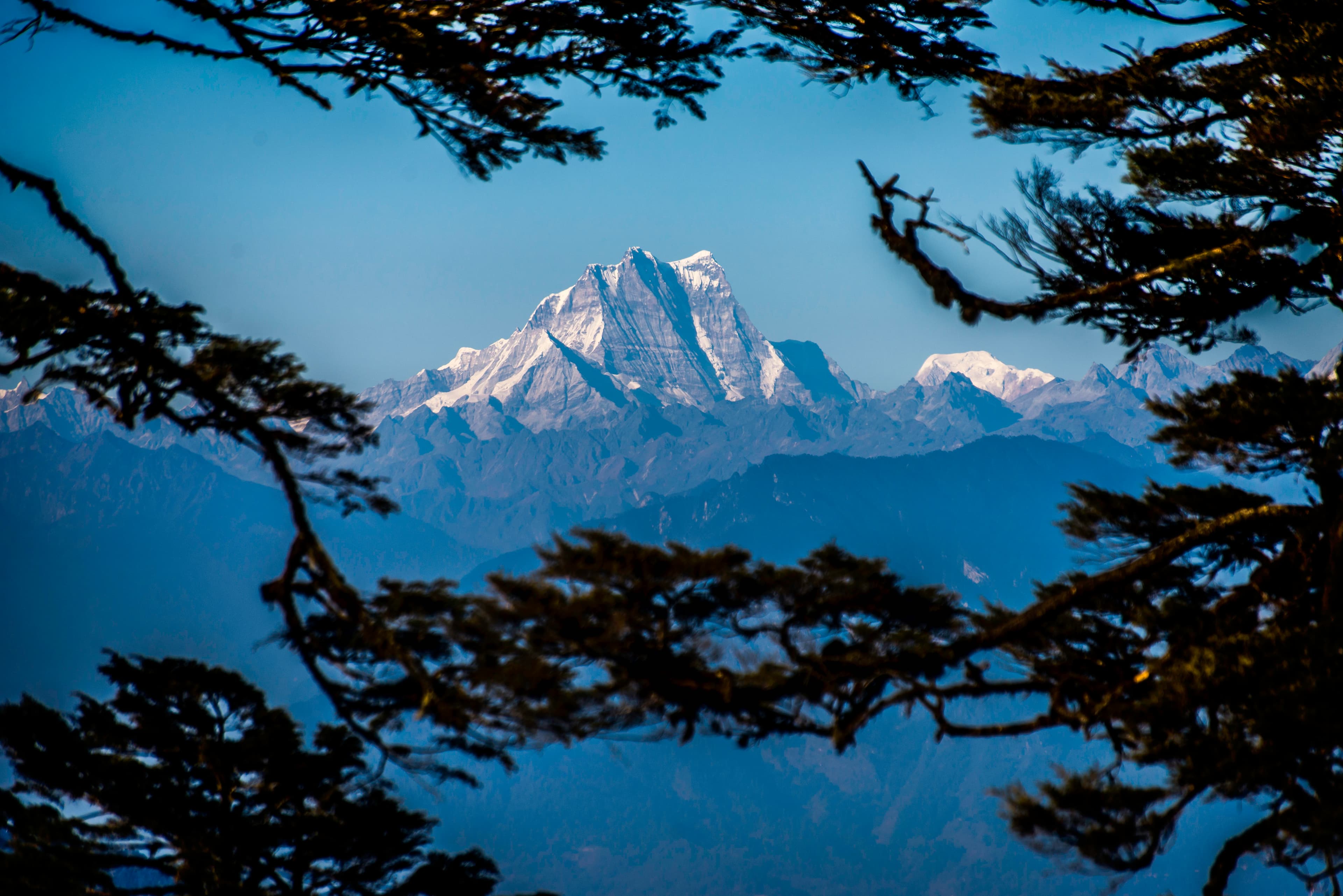 Snow-capped peaks framed by trees, Bhutan