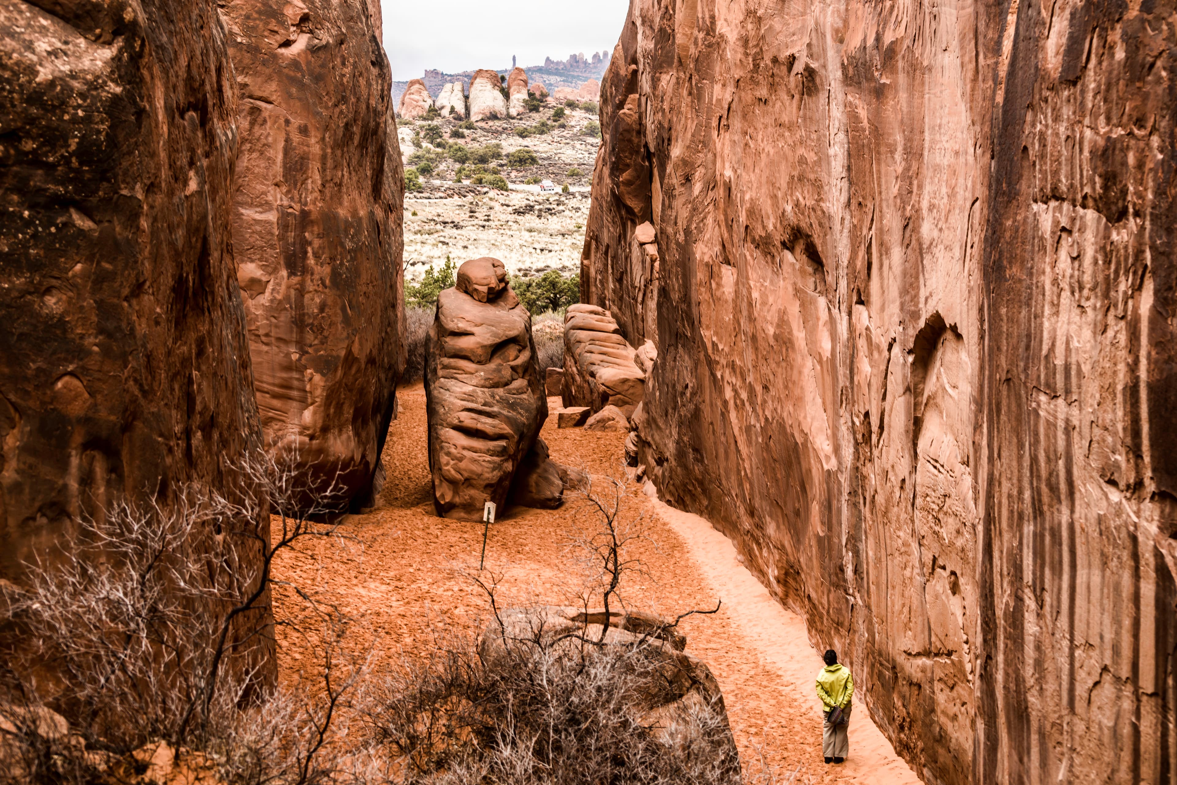 Hiker in narrow red rock canyon, Utah