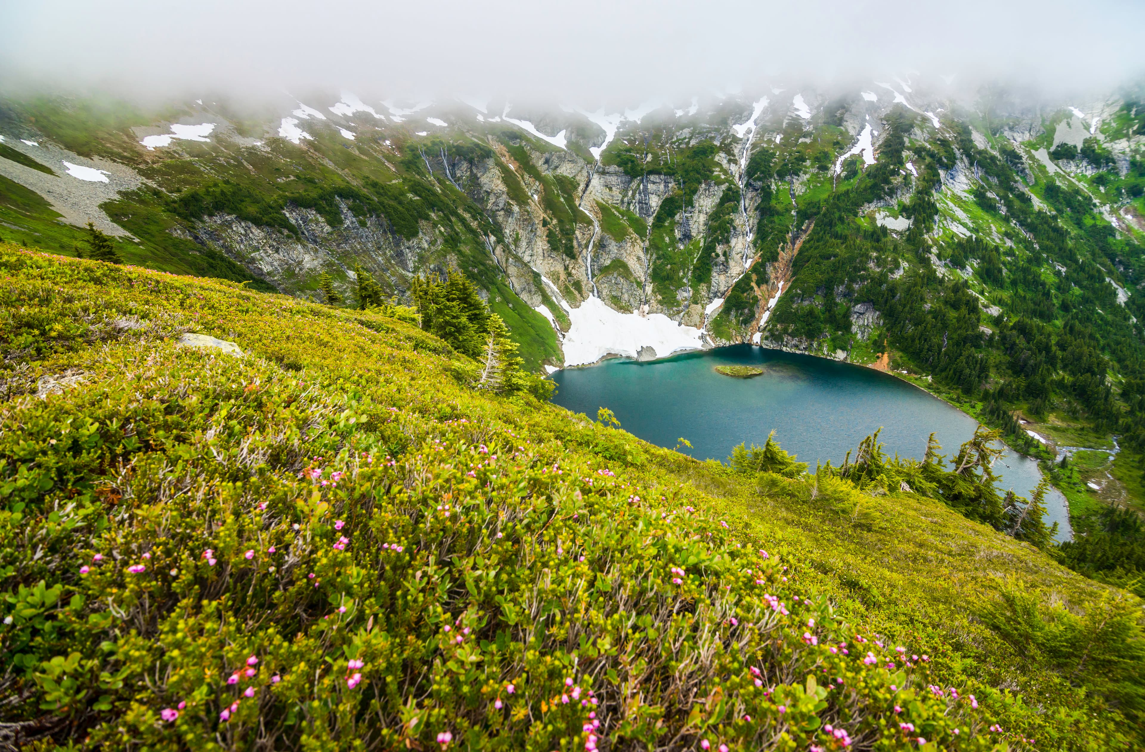 Lush hillside overlooking alpine lake, North Cascades