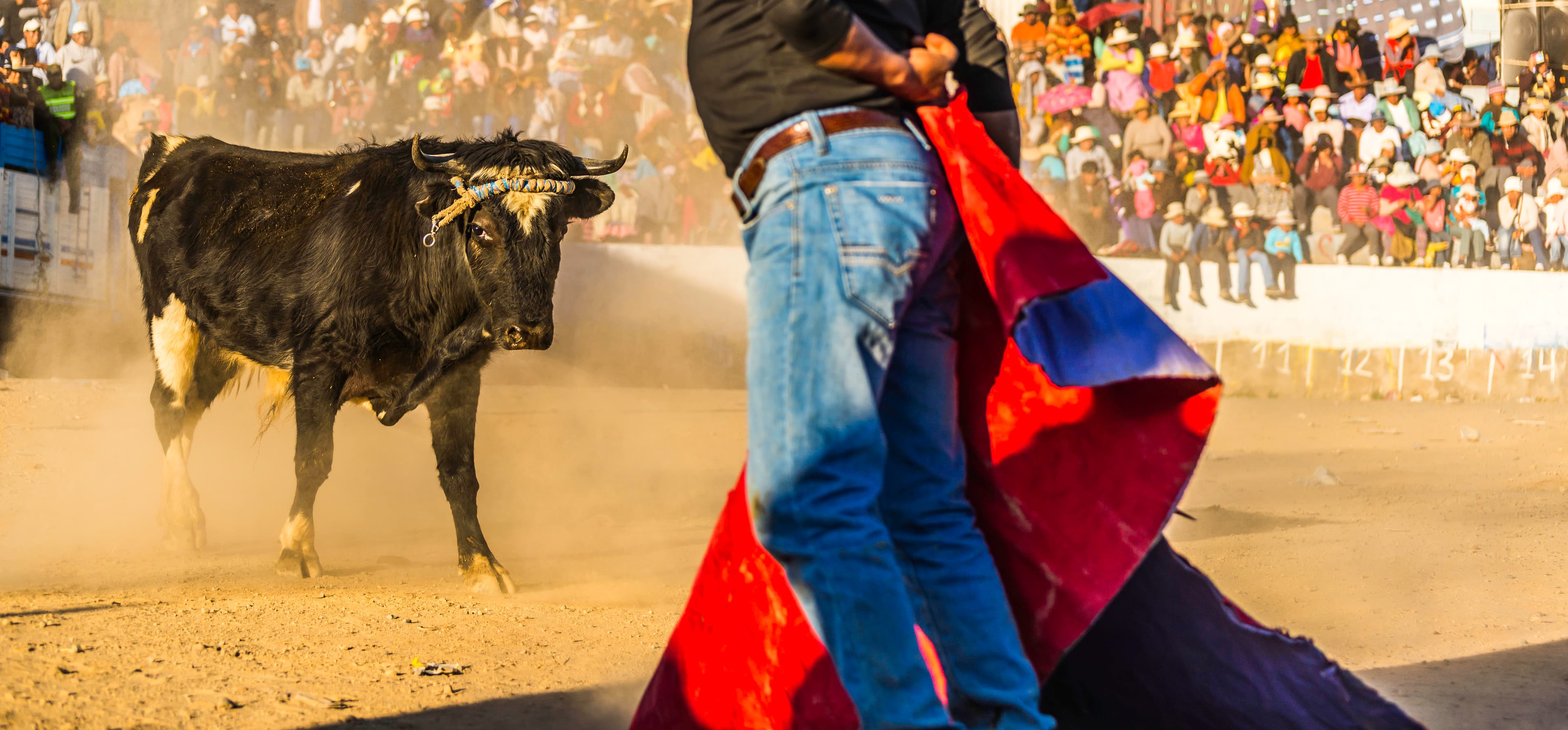 Bull charges matador in vibrant arena, Peru