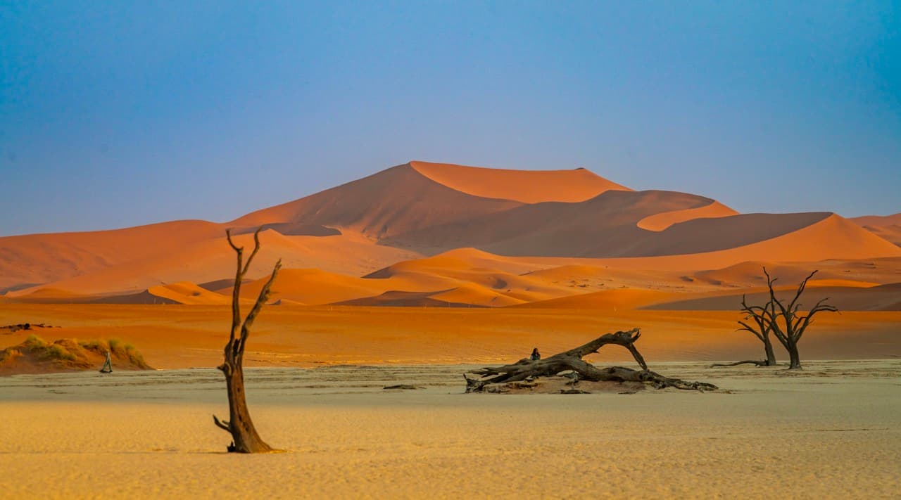 Dramatic sand dunes at sunrise, Sossusvlei